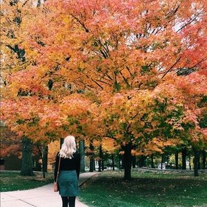 Meet your Posher, Madelyn